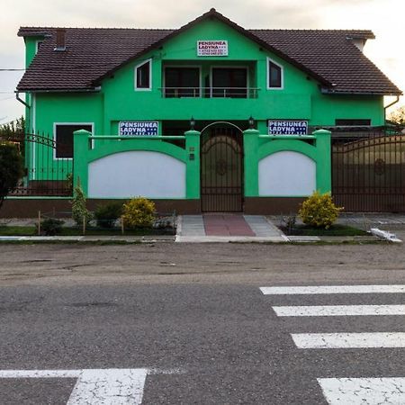 ホテル Pension Ladyna Sebiş エクステリア 写真