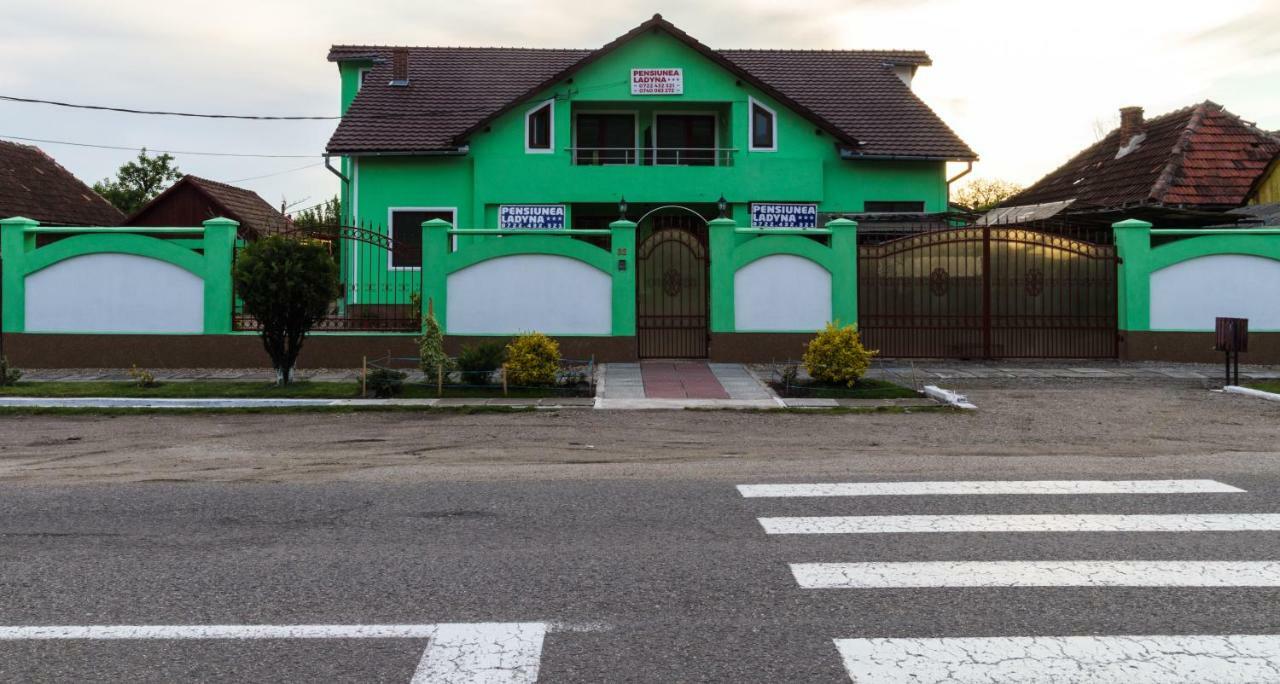 ホテル Pension Ladyna Sebiş エクステリア 写真